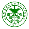 ФК Хамаркамератен