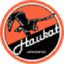 Haukat