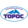 Торос
