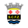 SC Ferreira Zezere