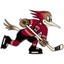 Tucson Roadrunners