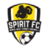 NSW Spirit