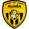 Aliaga Futbol