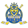 Корона Брашов