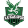 Inegol Kafkas Genclikspor