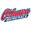 Ошава Дженералз