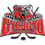 Gyergyoi HK