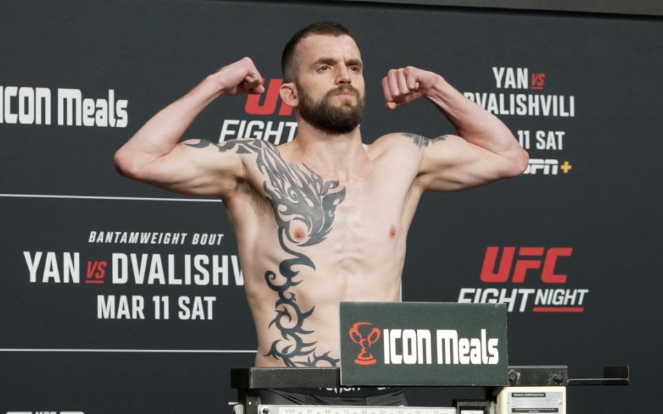 Ландвер - Линго