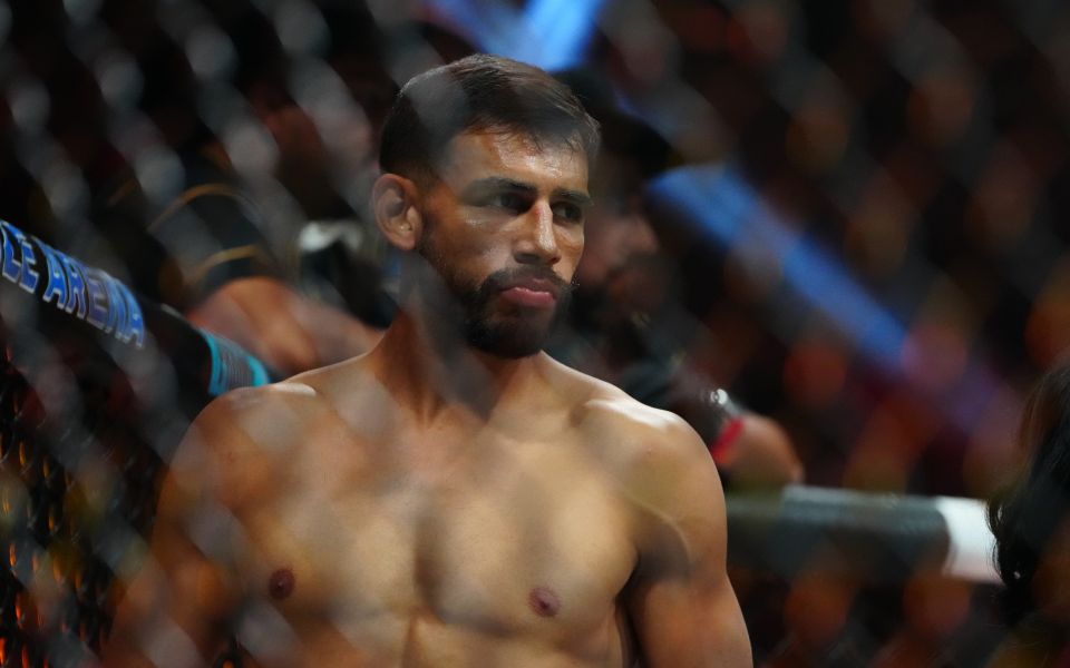 Родригез - Питбуль