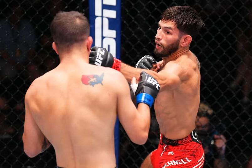 Шнелл - Моралес