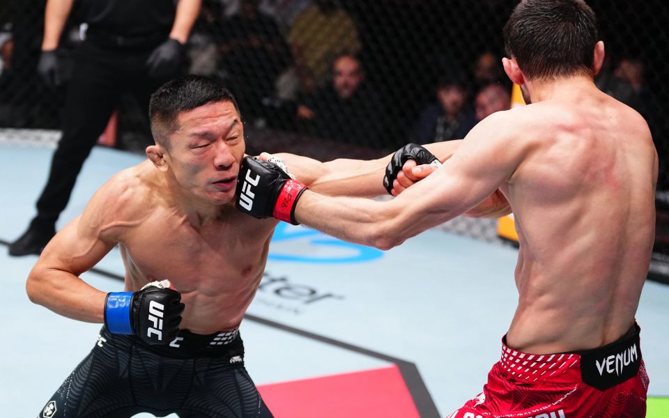 Альбази - Хоригучи